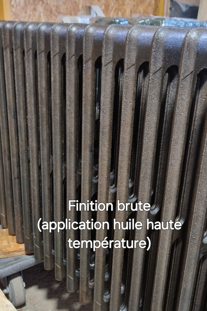 Finition Brute